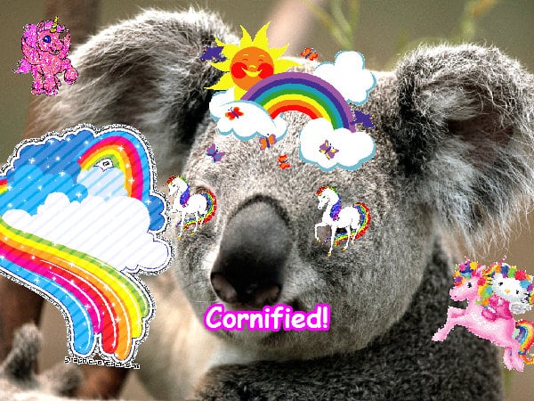 The best jolly super super super family