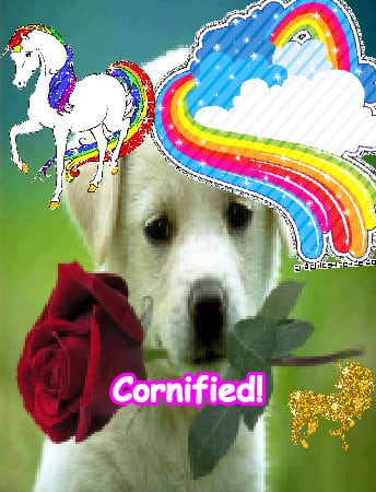 Super cute cool joyful best sparkle