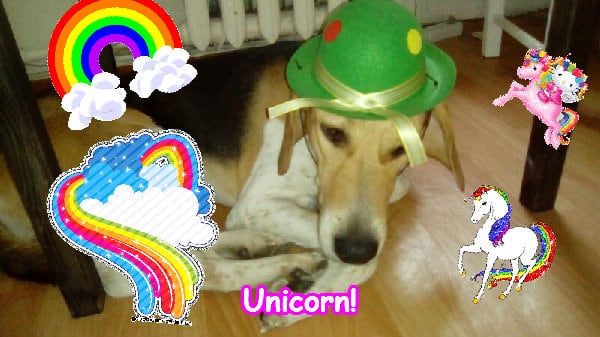 The super amazing cute fun unicorn