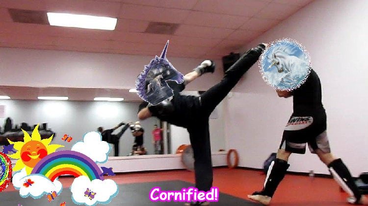 The most pink glad merry best rainbow