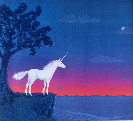 Unicorn enjoying the Sunset