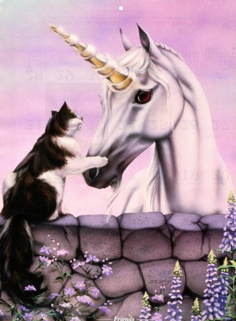 Unicorn and Cat Friends
